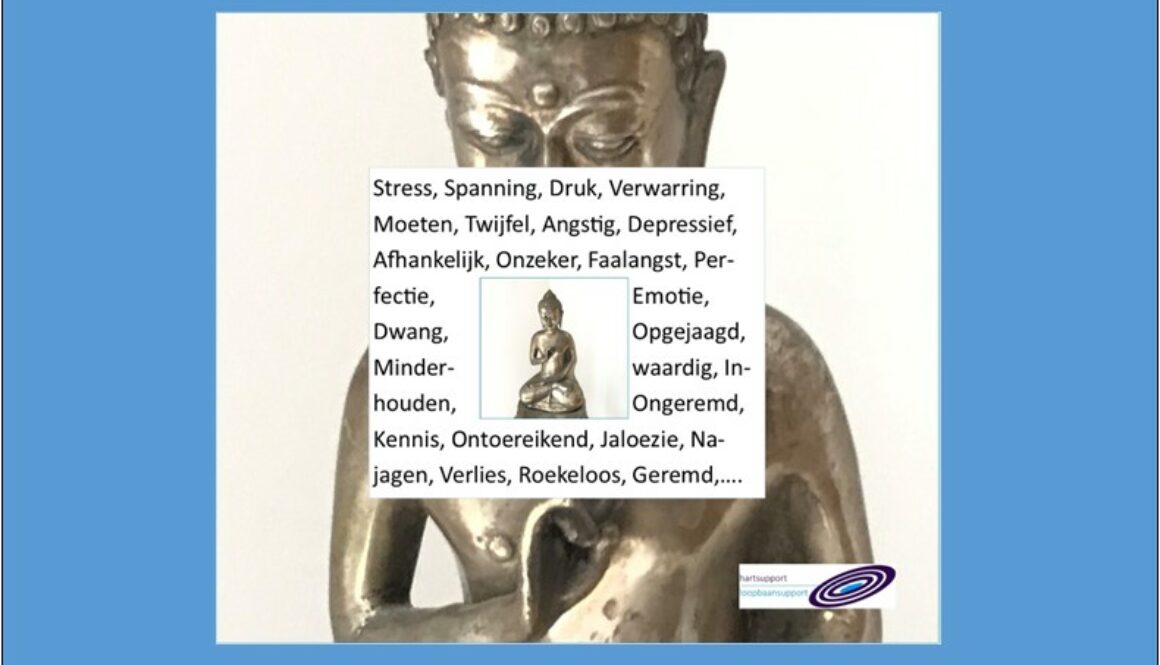 Rol voor spiritualiteit?