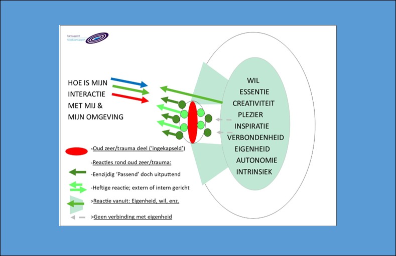 Gevolgen van trauma op interactie, zowel intern als extern