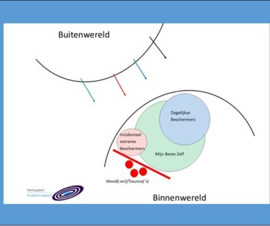 IFS model kn in kader
